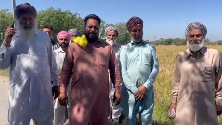 ਬਠਿੰਡਾ ਤੋਂ ਸਾਹਮਣੇ ਆਈ ਦਿਲ ਦਹਿਲਾਉਣ ਵਾਲੀ ਘਟਨਾ/  70 ਸਾਲਾ ਬਜ਼ੁਰਗ ਨੂੰ ਨੋਚ ਨੋਚ ਕੇ ਖਾ ਗਏ ਆਵਾਰਾ ਕੁੱਤੇ/ ਕਣਕ ਦੇ ਖੇਤਾਂ ’ਚ ਬੇਹੱਦ ਮਾੜੀ ਹਾਲਤ ’ਚ ਮਿਲਿਆ ਕੰਕਾਲ