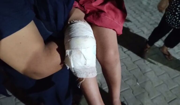 ਜਲੰਧਰ ’ਚ ਛੱਤ ’ਤੇ ਸੌ ਰਹੀ 4 ਸਾਲਾ ਬੱਚੀ ਦੇ ਲੱਗੀ ਗੋਲੀ/ ਪਾਣੀ ਪੀਣ ਲਈ ਉਠਣ ਦੌਰਾਨ ਵਾਪਰੀ ਘਟਨਾ/ ਇਲਾਜ਼ ਦੌਰਾਨ ਬੱਚੀ ਦੀ ਲੱਚ ’ਚੋਂ ਨਿਕਲੀ ਗੋਲੀ