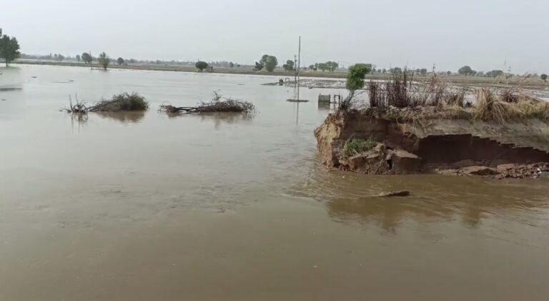 ਬੋਹਰ ਦੀ ਮਲੂਕਪੁਰਾ ਮਾਇਨਰ ’ਚ ਪਿਆ 150 ਫੁੱਟ ਪਾੜ/ 1000 ਏਕੜ ਦੇ ਕਰੀਬ ਜ਼ਮੀਨਾਂ ’ਚ ਭਰਿਆ ਪਾਣੀ/ ਝੋਨੇ ਦੀ ਪਨੀਰੀ ਸਮੇਤ ਕਈ ਫਸਲਾਂ ਖਰਾਬ