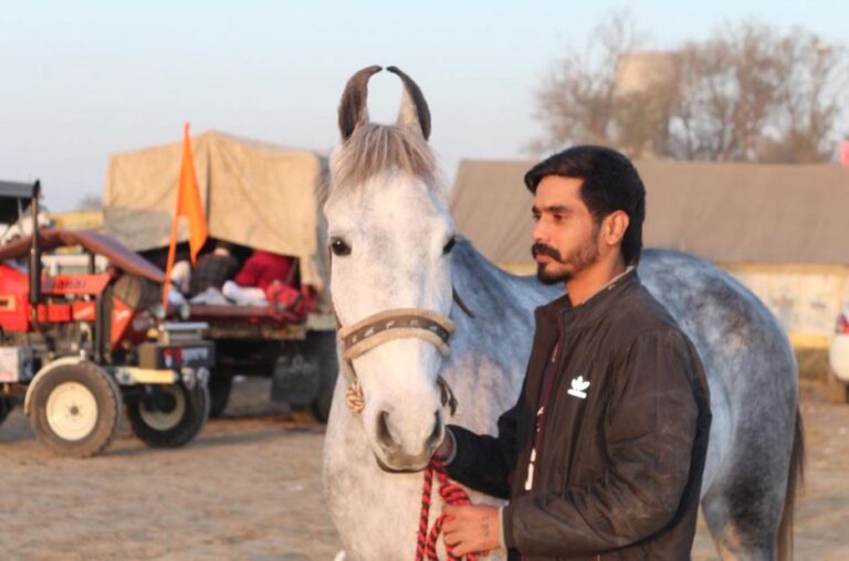 ਮੋਗਾ ’ਚ ਨੌਜਵਾਨ ਦੇ ਮਾਰੀ ਗੋਲੀ/ ਗੰਭੀਰ ਹਾਲਤ ਕਾਰਨ ਲੁਧਿਆਣਾ ਲਈ ਰੈਫਰ/ ਪੁਲਿਸ ਕਰ ਰਹੀ ਜਾਂਚ