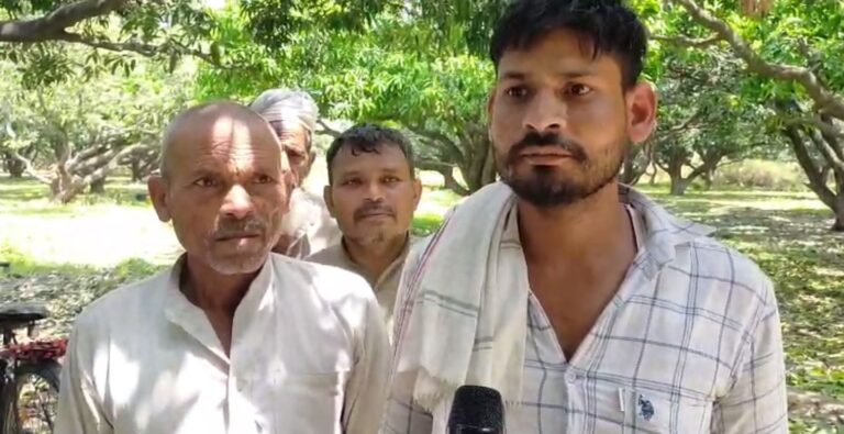 ਨੰਗਲ ’ਚ ਅੰਬ ਵਪਾਰੀਆਂ ਦੇ ਤੇਜ਼ ਨੇ ਤੋੜੇ ਸੁਪਨੇ/ ਤੇਜ਼ ਹਨੇਰੀ ਦੀ ਭੇਂਟ ਚੜ੍ਹੀ ਅੰਬਾਂ ਦੀ ਫ਼ਸਲ/ ਬਾਗ ਠੇਕੇਦਾਰਾਂ ਨੇ ਆਰਥਿਕਾ ਸਹਾਇਤਾ ਦੀ ਕੀਤੀ ਅਪੀਲ