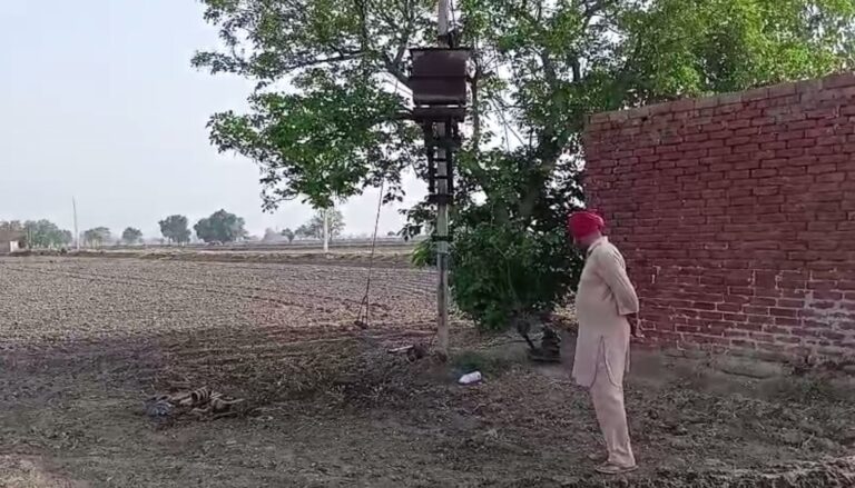 ਮੁਕਤਸਰ ਦੇ ਪਿੰਡਾਂ ’ਚ ਚੋਰਾਂ ਨੇ ਟਰਾਂਸਫਰਮਰਾਂ ਨੂੰ ਬਣਾਇਆ ਨਿਸ਼ਾਨਾ/ ਪਿੰਡ ਹਰਾਜ ਤੇ ਵੜਿੰਗ ’ਚ ਟਰਾਂਸਫਾਰਮਰਾਂ ਚੋਂ ਕੀਮਤੀ ਸਾਮਾਨ ਚੋਰੀ/ ਝੋਨੇ ਦੇ ਸੀਜ਼ਨ ਦੌਰਾਨ ਵਾਪਰੀ ਘਟਨਾ ਤੋਂ ਕਿਸਾਨ ਪ੍ਰੇਸ਼ਾਨ