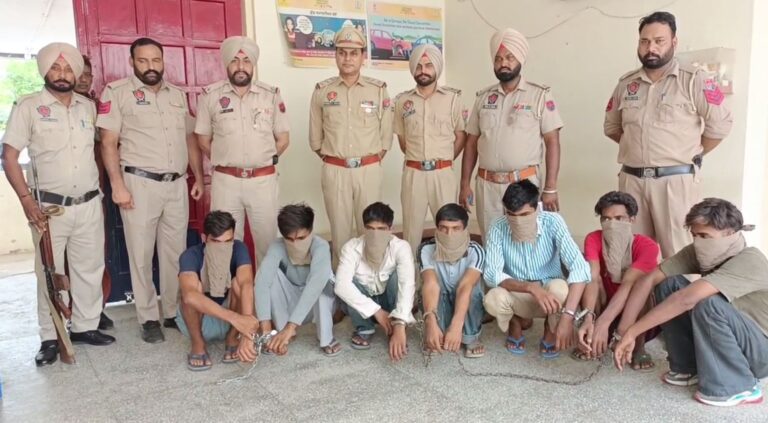 ਫਾਜ਼ਿਲਕਾ ਪੁਲਿਸ ਵੱਲੋਂ ਵੱਡੇ ਚੋਰ-ਗਰੋਹ ਦਾ ਪਰਦਾਫਾਸ਼; ਕਬਾੜੀਆ ਸਮੇਤ 8 ਮੈਂਬਰਾਂ ਨੂੰ ਕੀਤਾ ਗ੍ਰਿਫਤਾਰ; ਚੋਰੀਸ਼ੁਦਾ ਸਾਮਾਨ ਤੇ ਵਾਹਨ ਬਰਾਮਦ