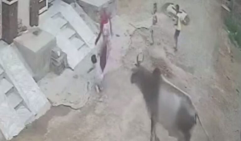 ਅਬੋਹਰ ’ਚ ਅਵਾਰਾ ਗਊ ਦਾ ਬੱਚੇ ’ਤੇ ਜਾਨਲੇਵਾ ਹਮਲਾ/ ਮਾਰਨ ਲਈ ਬਜਿੱਦ ਆਵਾਰਾ ਗਾਂ ਦੀ ਵੀਡੀਓ ਵਾਇਰਲ/ ਲੋਕਾਂ ਨੇ ਮੁਸ਼ਕਲ ਨਾਲ ਬਚਾਈ ਮਾਸੂਮ ਦੀ ਜਾਨ