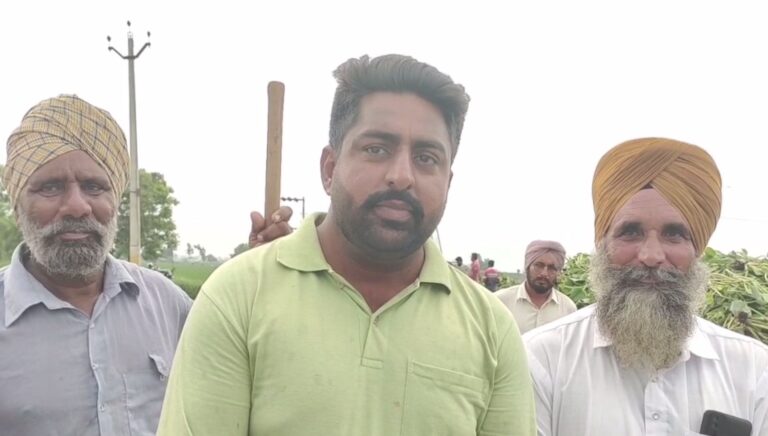 ਫਰੀਦਕੋਟ ’ਚ ਡਰੇਨ ਦੇ ਪਾਣੀ ਦੀ ਮਾਰ ਹੇਠ ਆਈ 300 ਏਕੜ ਫਸਲ; ਪਿੰਡ ਘੋਨੀਵਾਲਾ ਡਰੇਨ ਦੀ ਸਫਾਈ ਨਾ ਹੋਣ ਕਾਰਨ ਭਰਿਆ ਪਾਣੀ; ਪਿੰਡ ਵਾਸੀਆਂ ਨੇ ਪੈਸੇ ਇਕੱਠੇ ਕਰ ਕੇ ਖੁਦ ਕਰਵਾਈ ਸਫਾਈ