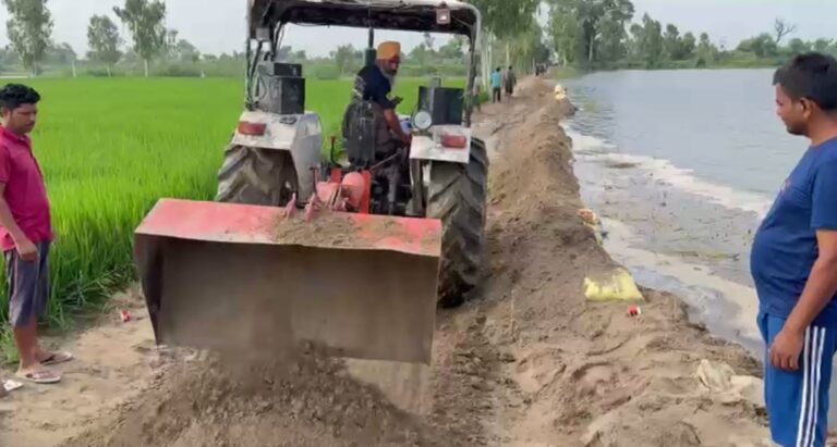 ਫਿਰੋਜਪੁਰ ਦੀ ਪਿੰਡ ਬਸਤੀ ਰਾਮ ਲਾਲ ’ਤੇ ਮੁੜ ਹੜ੍ਹ ਦਾ ਖਤਰਾ; ਸਤਲੁਜ ਦੇ ਪਾਣੀ ਕਾਰਨ ਆਰਜ਼ੀ ਬੰਨ੍ਹ ਟੁੱਟਣ ਕਿਨਾਰੇ; ਫਸਲਾਂ ਬਚਾਉਣ ਲਈ ਜੱਦੋ-ਜਹਿਦ ਕਰ ਰਹੇ ਕਿਸਾਨ