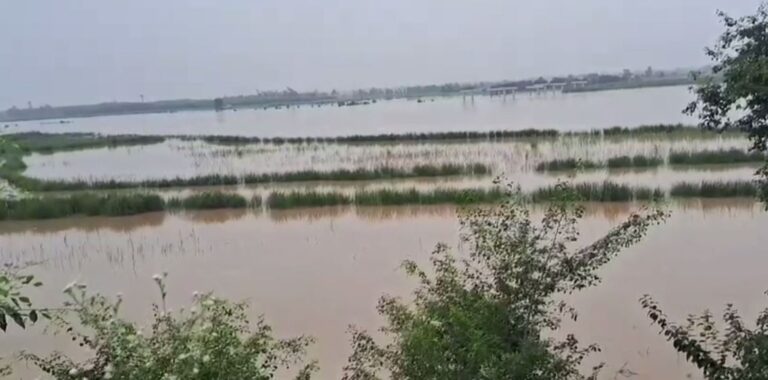 ਗੁਰਦਾਸਪੁਰ ’ਚ ਬਿਆਸ ਦਰਿਆ ਦੇ ਪਾਣੀ ਨੇ ਵਧਾਈ ਚਿੰਤਾ; ਪਾਣੀ ਦਾ ਪੱਧਰ ਵਧਣ ਕਾਰਨ ਦਹਿਸ਼ਤ ਵਿਚ ਲੋਕ; ਲੋਕਾਂ ਦਾ ਜ਼ਰੂਰੀ ਸਮਾਨ ਸਮੇਤ ਸੁਰੱਖਿਅਤ ਥਾਵਾਂ ਤੇ ਜਾਣਾ ਜਾਰੀ