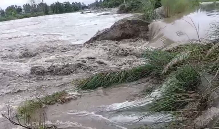 ਫਿਰੋਜ਼ਪੁਰ ਦੇ ਸਰਹੱਦੀ ਪਿੰਡ ਗੱਟੀ ਰਾਜੋ ਕੇ ’ਚ ਟੁੱਟਿਆ ਬੰਨ; ਲੋਕਾਂ ਨੇ ਪ੍ਰਸ਼ਾਸਨ ’ਤੇ ਲਾਏ ਅਣਗਹਿਲੀ ਵਰਤਣ ਦੇ ਲਾਏ ਇਲਜ਼ਾਮ ਕਿਹਾ, ਅਗਾਉਂ ਚਿਤਾਵਨੀ ਦੇ ਬਾਵਜੂਦ ਮਜਬੂਤੀ ’ਚ ਕੀਤੀ ਖਾਨਾਪੂਰਤੀ