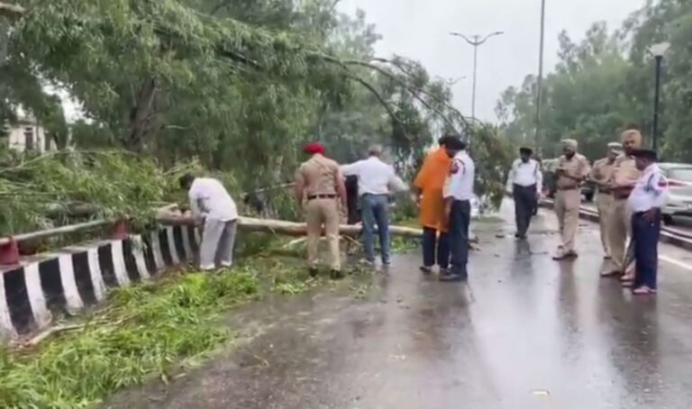 ਜਲੰਧਰ ਦੇ ਡੀਏਵੀ ਕਾਲਜ ਨੇੜੇ ਫਲਾਈਓਵਰ ’ਤੇ ਡਿੱਗਿਆ ਦਰੱਖਤ; ਰੁੱਖ ਡਿੱਗਣ ਕਾਰਨ ਆਵਾਜਾਈ ਪ੍ਰਭਾਵਿਤ, ਜਾਨੀ ਨੁਕਸਾਨ ਤੋਂ ਬਚਾਅ
