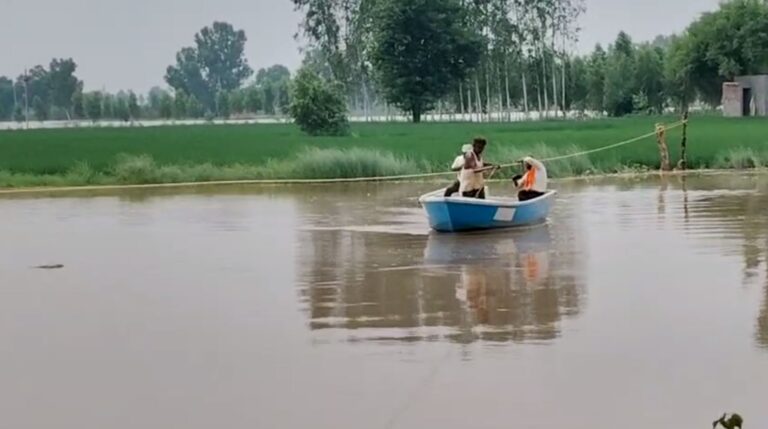 ਫਾਜਿਲਕਾ ’ਚ ਸਤਿਲੁਜ ਦਰਿਆ ਨੇ ਮਚਾਈ ਤਬਾਹੀ; ਢਾਣੀਆਂ ਤਕ ਪਹੁੰਚਿਆ ਸਤਲੁਜ ਦਾ ਪਾਣੀ; ਘਰ ਘਾਟ ਛੱਡ ਸੁਰੱਖਿਅਤ ਥਾਵਾਂ ਵੱਲ ਜਾ ਰਹੇ ਲੋਕ