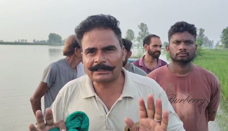 ਜਲਾਲਾਬਾਦ ਦੀ ਗੱਟੀ ਬਿਸੋ ਕੇ ਢਾਣੀ ਵਿਖੇ ਹੜ੍ਹਾਂ ਦਾ ਕਹਿਰ;  ਫਸਲਾਂ ਤੇ ਸਬਜ਼ੀਆਂ ਦਾ ਹੋਇਆ ਭਾਰੀ ਨੁਕਸਾਨ; ਲੋਕਾਂ ਨੇ ਸਰਕਾਰ ਤੋਂ ਬਣਦਾ ਮੁਆਵਜ਼ਾ ਦੇਣ ਦੀ ਕੀਤੀ ਮੰਗ