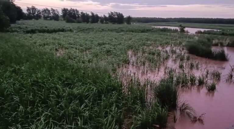 ਗੁਰਦਾਸਪੁਰ ਦੇ ਡੇਰਾ ਬਾਬਾ ਨਾਨਕ ’ਚ ਆਰਜ਼ੀ ਬੰਨ ਦਾ ਨੁਕਸਾਨ; ਬੰਨ ਟੁੱਟਣ ਕਾਰਨ ਖੇਤਾਂ ’ਚ ਭਰਿਆ ਪਾਣੀ; ਲੋਕਾਂ ਨੂੰ ਸੁਰੱਖਿਅਤ ਥਾਵਾਂ ’ਤੇ ਜਾਣ ਦੀ ਕੀਤੀ ਅਪੀਲ