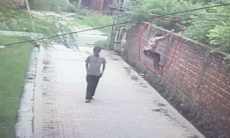 ਗੁਰਦਾਸਪੁਰ ’ਚ ਚੋਰਾਂ ਦਾ ਸੁੰਨੇ ਘਰ ’ਤੇ ਧਾਵਾਂ; 50 ਹਜ਼ਾਰ ਨਕਦੀ ਤੇ 8 ਤੋਲੇ ਗਹਿਣੇ ਲੈ ਕੇ ਫਰਾਰ