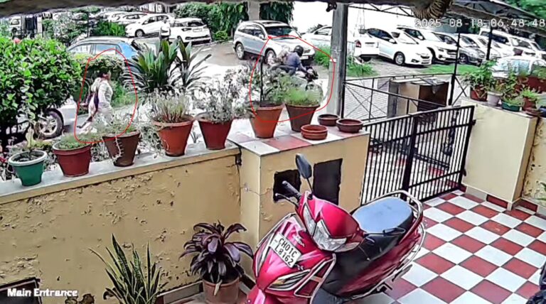 ਚੰਡੀਗੜ੍ਹ ’ਚ ਸੈਰ ਕਰਦੀ ਮਹਿਲਾ ਨਾਲ ਸਨੈਚਿੰਗ; ਮਹਿਲਾ ਦੀ ਚੈਨ ਝਪਟ ਕੇ ਮੋਟਰ ਸਾਈਕਲ ਫਰਾਰ; ਘਟਨਾ ਸੀਸੀਟੀਵੀ ’ਚ ਕੈਦ, ਪੁਲਿਸ ਕਰ ਰਹੀ ਜਾਂਚ