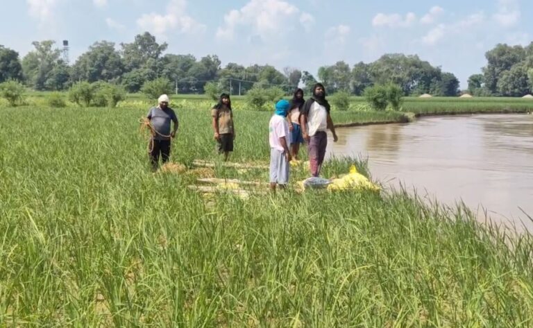 ਫਿਰੋਜ਼ਪੁਰ ਦੇ ਪਿੰਡ ਟੈਂਡੀ ਵਾਲਾ ਨੇੜੇ ਸਤਲੁਜ ਦਾ ਕਹਿਰ;  ਬੰਨ੍ਹ ਨੂੰ ਮਜਬੂਤ ਕਰਨ ਲਈ ਜੱਦੋ-ਜਹਿਦ ਕਰ ਰਹੇ ਲੋਕ