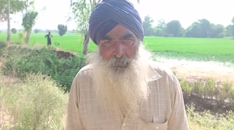 ਮਾਨਸਾ ਦੇ ਰੱਲਾ ਰਜਬਾਹੇ ’ਚ ਪਿਆ 20 ਫੁੱਟ ਚੌੜਾ ਪਾੜ; ਕਿਸਾਨਾਂ ਦੀ ਤਬਾਹ ਹੋਈ 200 ਏਕੜ ਫਸਲ