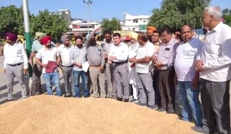 ਸੰਗਰੂਰ ਡੀਸੀ ਵੱਲੋਂ ਮੰਡੀਆਂ ਦਾ ਦੌਰਾ; ਝੋਨੇ ਦੀ ਖਰੀਦ ਦਾ ਲਿਆ ਜਾਇਜ਼ਾ; ਮੰਡੀ ਦੇ ਨਵੀਨੀਕਰਨ ਦਾ ਐਲਾਨ