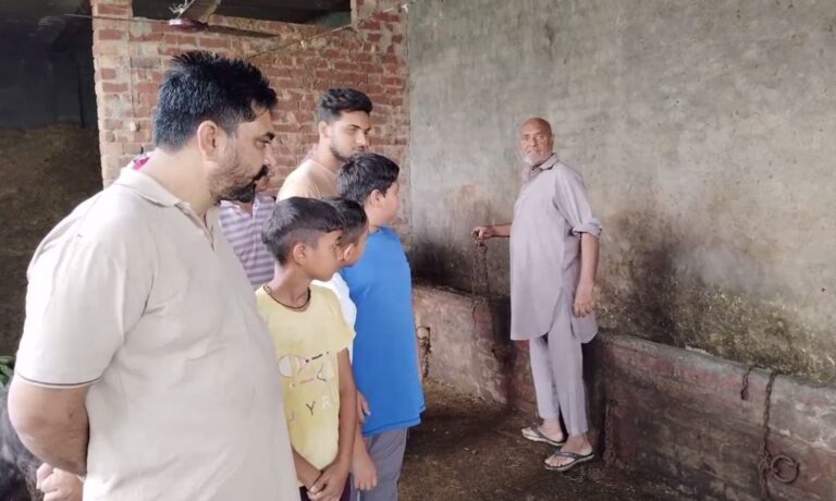 ਨਾਭਾ ’ਚ ਗਰੀਬ ਪਰਿਵਾਰ ਦੀਆਂ ਮੱਝਾ ਚੋਰੀ; ਮਹਿੰਦਰਾ ਪਿਕਅਪ ’ਤੇ ਮੱਝਾ ਲੱਦ ਕੇ ਹੋਏ ਫਰਾਰ; ਘਟਨਾ ਸੀਸੀਟੀਵੀ ’ਚ ਕੈਦ, ਪੀੜਤ ਨੇ ਮੰਗਿਆ ਇਨਸਾਫ਼