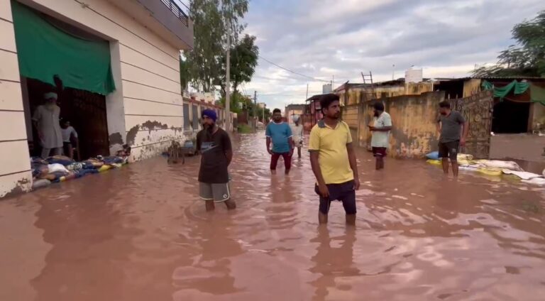 ਘਨੌਰ ਹਲਕੇ ਦੇ ਪਿੰਡ ਚਮਾਰੂ ’ਚ ਹੜ੍ਹ ਕਾਰਨ ਵਿਗੜੇ ਹਾਲਾਤ; ਬਿਨਾਂ ਬਿਜਲੀ, ਪਾਣੀ ਤੋਂ ਦਿਨ ਕਟੀ ਕਰ ਰਹੇ ਪਿੰਡ ਵਾਸੀ