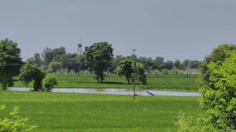 ਜਲਾਲਾਬਾਦ ਦੇ ਤਾਰ ਪਾਰਲੇ ਕਿਸਾਨਾਂ ਦੀਆਂ ਮੁਸੀਬਤਾਂ ਬਰਕਰਾਰ; ਤਾਰ ਪਾਰਲੇ ਖੇਤਾਂ ’ਚ ਅਜੇ ਵੀ ਖੜ੍ਹਾ ਕਈ ਕਈ ਫੁੱਟ ਪਾਣੀ