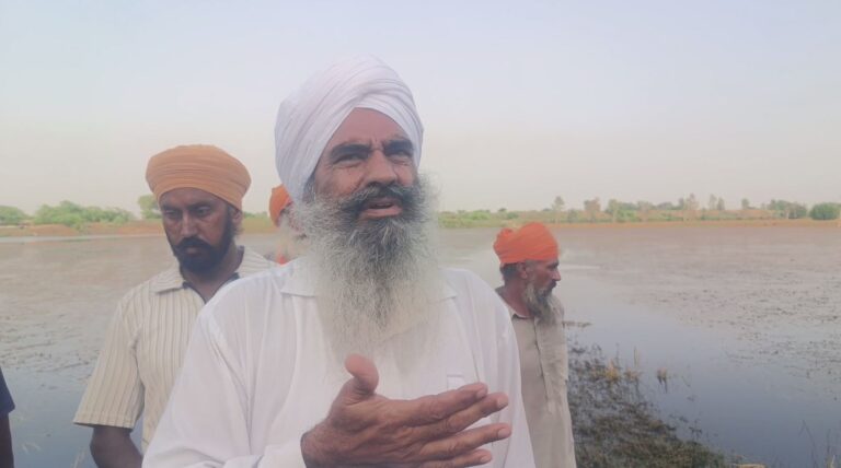 ਤਰਨ ਤਾਰਨ ਦੇ ਪਿੰਡਾਂ ’ਚ ਹੜ੍ਹ ਦੀ ਮਾਰ; 150 ਏਕੜ ਜ਼ਮੀਨ ’ਚ ਅਜੇ ਵੀ ਖੜ੍ਹਾ ਪਾਣੀ; ਸਰਕਾਰ ਤੋਂ ਪਾਣੀ ਦੀ ਨਿਕਾਸੀ ਕਰਨ ਦੀ ਮੰਗ