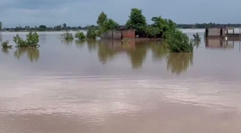 ਮੋਗਾ ਦੇ ਪਿੰਡ ਸੰਘੇੜਾ ਨੂੰ ਸਤਲੁਜ ਦੇ ਪਾਣੀ ਦਾ ਘੇਰਾ; ਦਰਿਆ ਕੰਢੇ ਰਹਿਣ ਲਈ ਮਜਬੂਰ ਹੋਏ ਪਿੰਡ ਦੇ ਲੋਕ