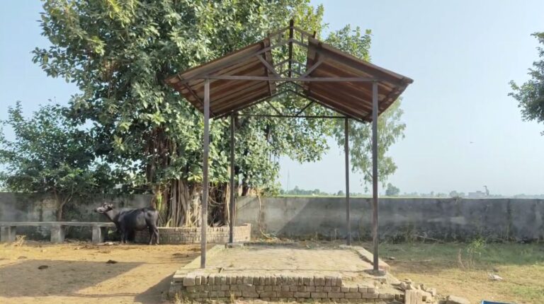 ਫਿਰੋਜ਼ਪੁਰ ਦਾ ਗਰੀਬ ਕਿਸਾਨ ’ਤੇ ਹੜ੍ਹਾਂ ਦੀ ਮਾਰ; ਸ਼ਮਸ਼ਾਨ ਘਾਟ ’ਚ ਰਹਿਣ ਲਈ ਮਜ਼ਬੂਰ; ਸਰਕਾਰ ਅੱਗੇ ਮਦਦ ਲਈ ਗੁਹਾਰ