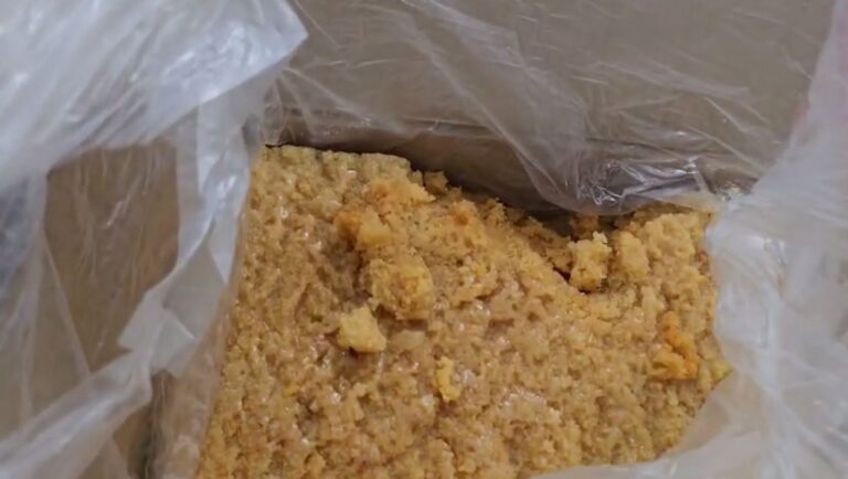 ਅਬੋਹਰ ’ਚ ਫੂਡ ਸੇਫਟੀ ਵਿਭਾਗ ਦਾ ਐਕਸ਼ਨ; ਮਠਿਆਈ ਦੀ ਦੁਕਾਨ ’ਤੇ ਮਾਰਿਆ ਛਾਪਾ; ਰਾਜਸਥਾਨ ਤੋਂ ਲਿਆਂਦੀਆਂ ਸੀ ਮਠਿਆਈਆਂ