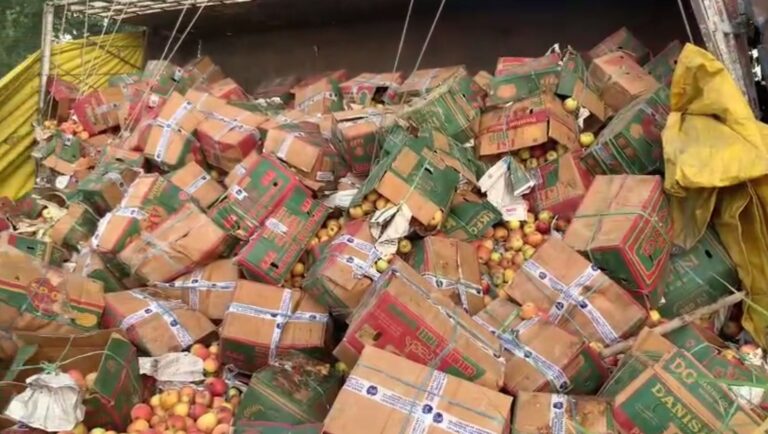 ਫਤਿਹਗੜ ਚੂੜੀਆਂ ਲੋਧੀਨੰਗਲ ਵਾਪਰਿਆ ਹਾਦਸਾ; ਸੜਕ ਕੰਢੇ ਪਲਟਿਆ ਸੇਬਾਂ ਨਾਲ ਭਰਿਆ ਟਰੱਕ