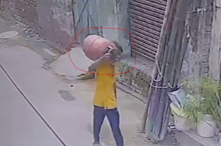 ਜਲੰਧਰ ’ਚ ਦਿਨ ਦਿਹਾੜੇ ਸਿਲੰਡਰ ਚੋਰੀ; ਘਰ ਤੋਂ ਗੈਸ ਸਿਲੰਡਰ ਲੈ ਕੇ ਚੋਰ ਫਰਾਰ