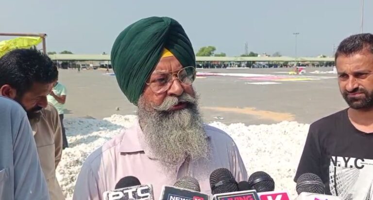 ਮਲੋਟ ਮੰਡੀ ’ਚ ਨਰਮੇ ਦੀ ਬੇਕਦਰੀ ਤੋਂ ਕਿਸਾਨ ਪ੍ਰੇਸ਼ਾਨ; ਵਿਕਰੀ ਨਾ ਹੋਣ ਕਾਰਨ ਹੋ ਰਹੀ ਖੱਜਲ-ਖੁਆਰੀ