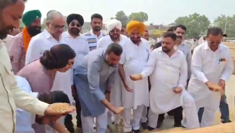 ਜਲਾਲਾਬਾਦ ਦੀ ਅਨਾਜ ਮੰਡੀ ਝੋਨੇ ਦੀ ਖ਼ਰੀਦ ਸ਼ੁਰੂ; ਵਿਧਾਇਕ ਕੰਬੋਜ ਗੋਲਡੀ ਨੇ ਕੀਤਾ ਉਦਘਾਟਨ
