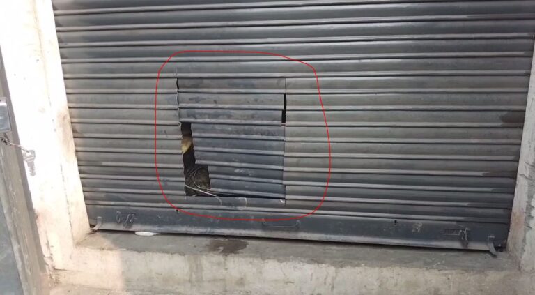 ਬਟਾਲਾ ’ਚ ਫਿਲਮੀ ਅੰਦਾਜ਼ ’ਚ ਚੋਰੀ; ਕਟਰ ਨਾਲ ਸ਼ਟਰ ਕੱਟ ਕੇ ਅੰਜ਼ਾਮ ਦਿੱਤੀ ਘਟਨਾ; ਮੋਟਰਾਂ ਤੇ ਹੋਰ ਸਾਮਾਨ ਚੋਰੀ ਕਰ ਕੇ ਫਰਾਰ