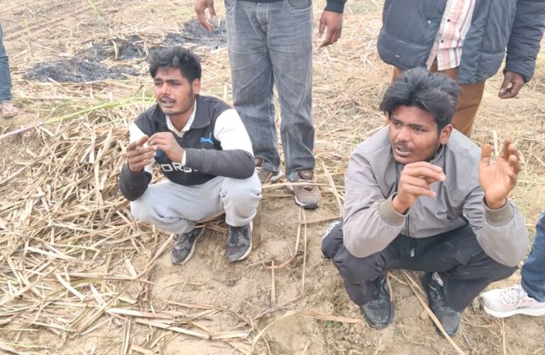 ਮਾਛੀਵਾੜਾ ਸਾਹਿਬ ’ਚ ਲੋਕਾਂ ਹੱਥੇ ਚੜ੍ਹੇ ਝਪਟਮਾਰ; ਗੰਨੇ ਦੇ ਖੇਤ ਨੂੰ ਘੇਰਾ ਪਾ ਕੇ ਕੀਤਾ ਕਾਬੂ