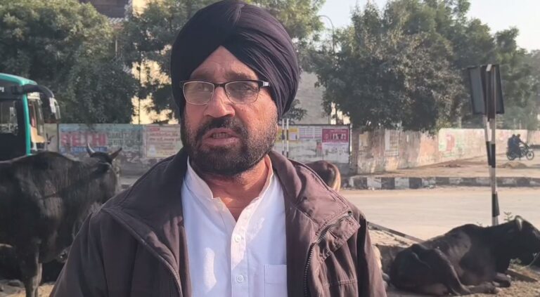 ਸੰਗਰੂਰ ਸ਼ਹਿਰ ’ਚ ਅਵਾਰਾ ਪਸ਼ੂਆਂ ਤੋਂ ਲੋਕ ਪ੍ਰੇਸ਼ਾਨ/ ਗਊ ਸੈਂਸ ਵਸੂਲਣ ਦੇ ਬਾਵਜੂਦ ਨਹੀਂ ਹੋ ਰਿਹਾ ਪ੍ਰਬੰਧ/ ਮੁੱਖ ਮੰਤਰੀ ਦੇ ਚੁੱਕੇ ਨੇ ਮਸਲਾ ਹੱਲ ਕਰਨ ਦਾ ਭਰੋਸਾ