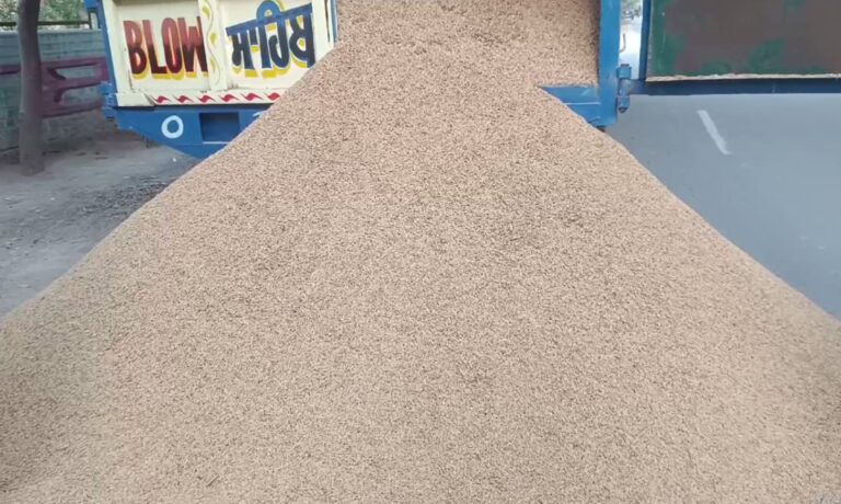 ਮਾਨਸਾ ਡੀਸੀ ਦਫਤਰ ਅੱਗੇ ਕਿਸਾਨਾਂ ਦਾ ਪ੍ਰਦਰਸ਼ਨ; ਦਫਤਰ ਅੱਗੇ ਝੋਨਾ ਲਾਹ ਕੇ ਕੀਤੀ ਨਾਅਰੇਬਾਜ਼ੀ; ਝੋਨੇ ਦੀ ਖਰੀਦ ਤਕ ਧਰਨਾ ਜਾਰੀ ਰੱਖਣ ਐਲਾਨ