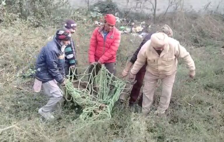 ਜਲੰਧਰ ਦੇ ਰਿਹਾਇਸ਼ੀ ਇਲਾਕੇ ’ਚ ਦਾਖਲ ਹੋਇਆ ਸਾਂਬਰ/ ਲੋਕਾਂ ਅੰਦਰ ਬਣਿਆ ਦਹਿਸ਼ਤ ਦਾ ਮਾਹੌਲ/ ਜੰਗਲਾਤ ਵਿਭਾਗ ਨੇ ਮੁਸ਼ੱਕਤ ਬਾਅਦ ਕੀਤਾ ਕਾਬੂ