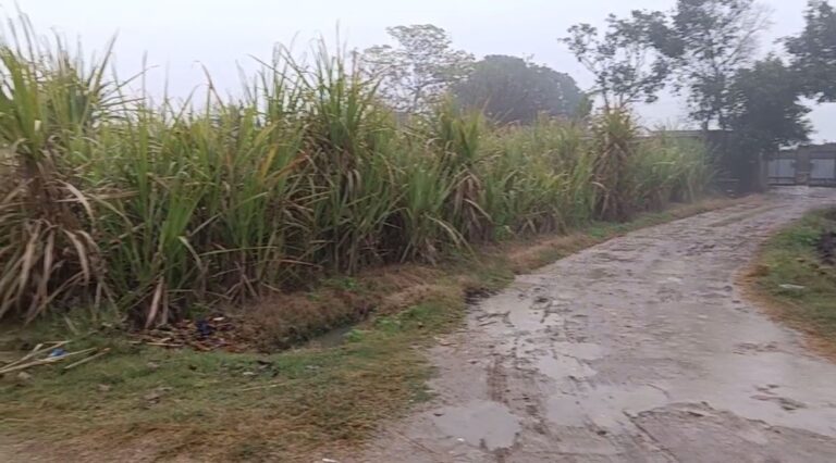 ਹੁਸ਼ਿਆਰਪੁਰ ’ਚ ਤੜਕਸਾਰ ਹੋਈ ਬਰਸਾਤ/  ਲੋਕਾਂ ਨੂੰ ਸੁੱਕੀ ਠੰਡ ਤੋਂ ਮਿਲੀ ਰਾਹਤ/ ਕਿਸਾਨਾਂ ਲਈ ਲਾਹੇਵੰਦੀ ਮੰਨੀ ਜਾ ਰਹੀ ਬਰਸਾਤ