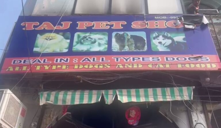 ਜਲੰਧਰ ’ਚ ਪਾਲਤੂ ਜਾਨਵਰਾਂ ਦੀ ਦੁਕਾਨ ਅੰਦਰ ਅੱਗ/ ਦੁਕਾਨ ਅੰਦਰ ਪਿਆ ਸਾਮਾਨ ਸੜ ਕੇ ਸੁਆਹ