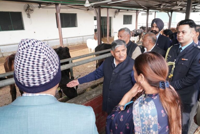 ਚੰਡੀਗੜ੍ਹ ਦੇ ਰਾਏਪੁਰ ਕਲਾਂ ਗਊਸ਼ਾਲਾ ਪਹੁੰਚੇ ਗਵਰਨਰ ਕਟਾਰੀਆ/ ਗਊਆਂ ਦੀ ਭੇਦਭਰੀ ਹਾਲਤ ’ਚ ਮੌਤ ਦਾ ਜਾਇਜ਼ਾ/ ਸਖਤ ਕਾਰਵਾਈ ਦੀ ਹਦਾਇਤ