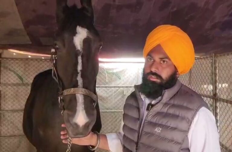 ਮੁਕਤਸਰ ਸਾਹਿਬ ‘ਚ ਲੱਗੀ ਮਾਘੀ ਪਸ਼ੂ ਮੰਡੀ/ ਲੋਕਾਂ ਲਈ ਖਿੱਚ ਦਾ ਕੇਂਦਰ ਰਹੀ ਅਨੋਖੀ ਘੋੜੀ/ ਸਭ ਤੋਂ ਉੱਚੇ ਕੱਦ ਵਾਲੀ ਘੋੜੀ ਦਾ ਮਿਲਿਆ ਖਿਤਾਬ