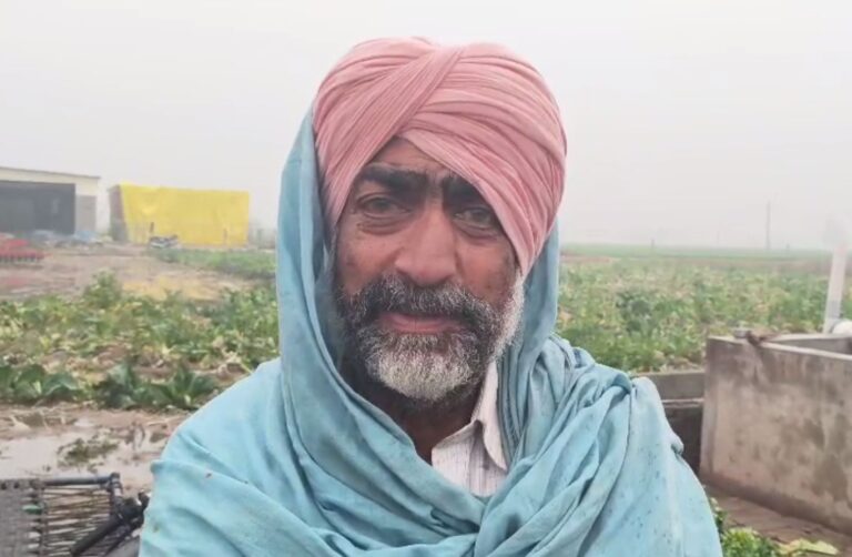 ਪਟਿਆਲਾ ’ਚ ਗੜ੍ਹੇਮਾਰੀ ਨੇ ਡਰਾਏ ਕਿਸਾਨ/ ਕਣਕ, ਸਰ੍ਹੋਂ ਤੇ ਸਬਜ਼ੀਆਂ ਦਾ ਭਾਰੀ ਨੁਕਸਾਨ
