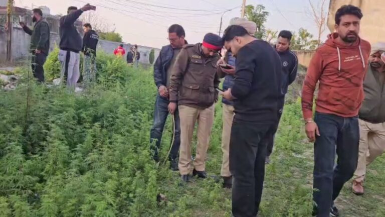 ਜਲੰਧਰ ’ਚ ਕੱਟਿਆ ਸਿਰ ਬਰਾਮਦ ਨਾਲ ਦਹਿਸ਼ਤ/ ਖਾਲੀ ਪਲਾਟ ਅੰਦਰ ਪਿਆ ਮਿਲਿਆ ਸਿਰ/ ਪੁਲਿਸ ਨੇ ਸਿਰ ਕਬਜ਼ੇ ’ਚ ਲੈ ਕੇ ਜਾਂਚ ਸ਼ੁਰੂ