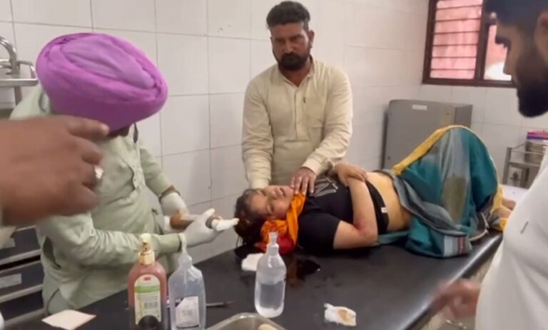 ਬੁਢਲਾਡਾ ’ਚ ਅਵਾਰਾ ਕੁੱਤਿਆਂ ਦੇ ਹਮਲੇ ’ਚ ਬੱਚੀ ਜ਼ਖਮੀ/ ਗੰਭੀਰ ਹਾਲਤ ਦੇ ਚਲਦਿਆਂ ਪਟਿਆਲਾ ਰੈਫਰ/ ਪ੍ਰਸ਼ਾਸਨ ਤੋਂ ਆਵਾਰਾ ਕੁੱਤਿਆਂ ਦੀ ਰੋਕਥਾਮ ਦੀ ਅਪੀਲ