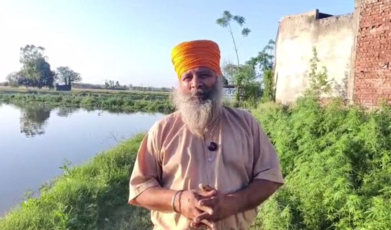 ਗੁਰਦਾਸਪੁਰ ’ਚ ਛੱਪੜ ਦੀ ਭੇਂਟ ਚੜ੍ਹੀ ਕਣਕ ਦੀ ਫਸਲ/ ਛੱਪੜ ਓਵਰਫਲੋਅ ਹੋਣ ਨਾਲ ਭਰਿਆ ਸੀ ਪਾਣੀ/ ਪ੍ਰਸ਼ਾਸਨ ਅੱਗੇ ਮਦਦ ਲਈ ਲਾਈ ਗੁਹਾਰ