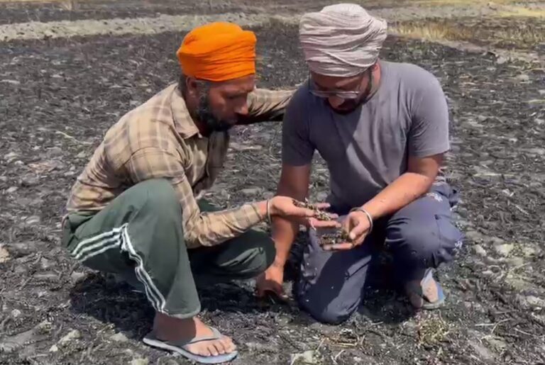 ਫਾਜਿਲਕਾ ’ਚ ਕਿਸਾਨ ਦੀ ਸੜੀ 4 ਏਕੜ ਕਣਕ/ ਸ਼ਾਰਟ ਸਰਕਟ ਕਾਰਨ ਲੱਗੀ ਅੱਗ/  ਪਿੰਡ ਵਾਸੀਆਂ ਨੇ ਇਕ ਲੱਖ ਦੀ ਕੀਤੀ ਮਦਦ