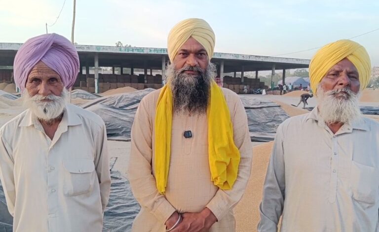 ਗੁਰਦਾਸਪੁਰ ਦਾਣਾ ਮੰਡੀ ’ਚ ਕਣਕ ਦੀ ਚੋਰੀ/ ਦੇਰ ਰਾਤ ਬੱਚੇ ਤੇ ਔਰਤਾਂ ਅੰਜ਼ਾਮ ਦਿੰਦੇ ਘਟਨਾ/ ਕਿਸਾਨਾਂ ਨੇ ਪ੍ਰਸ਼ਾਸਨ ਤੋਂ ਮੰਗੀ ਕਾਰਵਾਈ