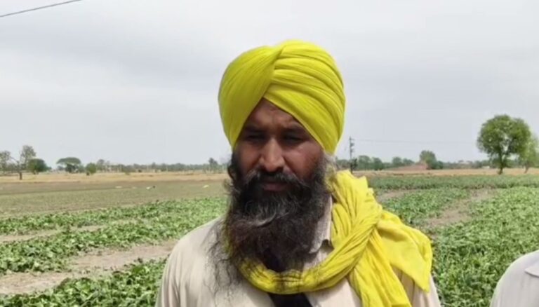 ਮਾਨਸਾ ’ਚ ਗੜ੍ਹੇਮਾਰੀ ਕਾਰਨ ਕਿਸਾਨਾਂ ਦੇ ਚਿਹਰੇ ਮੁਰਝਾਏ/ ਕਣਕ ਤੇ ਸਬਜ਼ੀਆਂ ਦਾ ਨੁਕਸਾਨ/ ਮੁਆਵਜ਼ੇ ਦੀ ਕੀਤੀ ਮੰਗ