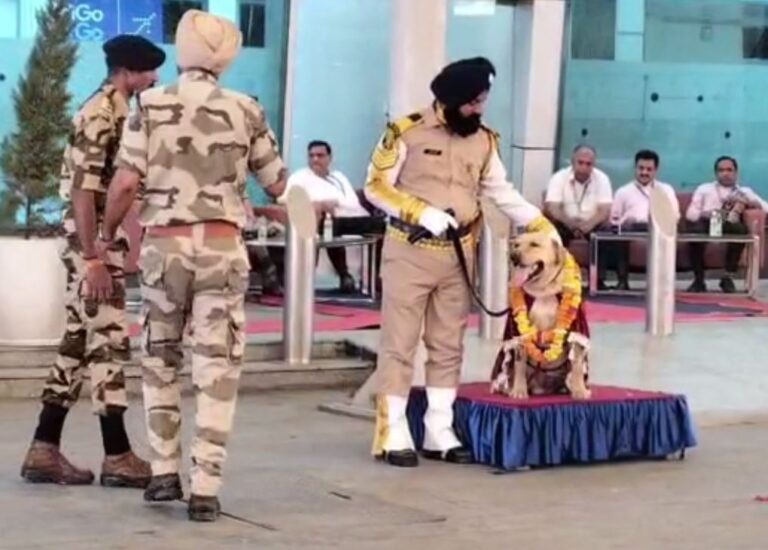 ਅੰਮ੍ਰਿਤਸਰ ਏਅਰਪੋਰਟ ‘ਤੇ ਡੌਗ ਮੈਕਸ ਨੂੰ ਸਨਮਾਨਿਤ ਰਿਟਾਇਰਮੈਂਟ/ 5 ਸਾਲ ਤੱਕ ਨਿਭਾਈ ਵਫ਼ਾਦਾਰ ਸੇਵਾ/ ਬਿਮਾਰੀ ਕਾਰਨ ਪਹਿਲਾਂ ਹੀ ਦਿੱਤੀ ਵਿਦਾਈ