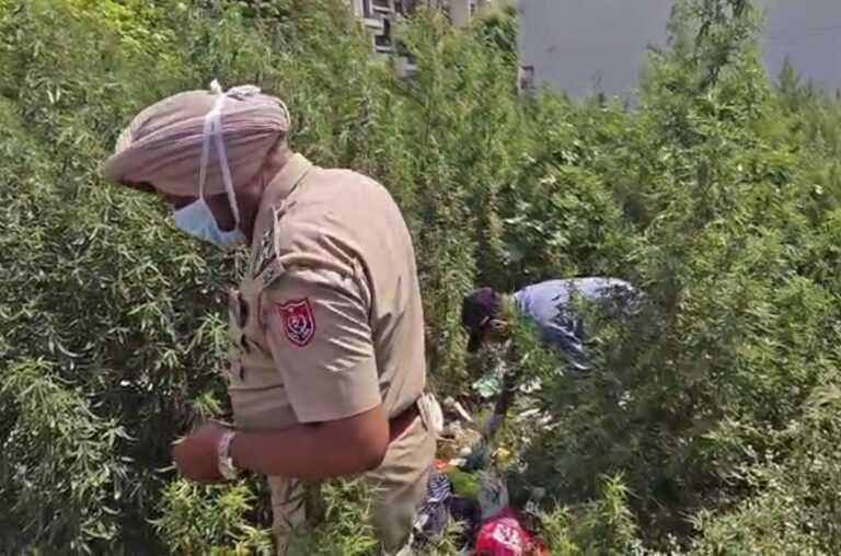 ਜਲੰਧਰ ’ਚ ਕੂੜੇ ਦੇ ਢੇਰ ’ਤੋਂ ਮਿਲੀ ਨਵਜੰਮੇ ਬੱਚੇ ਦੀ ਲਾਸ਼/ ਕੂੜਾ ਇਕੱਠਾ ਕਰਨ ਵਾਲੀ ਔਰਤ ਨੇ ਦਿੱਤੀ ਜਾਣਕਾਰੀ/ ਪੁਲਿਸ ਨੇ ਲਾਸ਼ ਕਬਜ਼ੇ ’ਚ ਲੈ ਕੇ ਜਾਂਚ ਕੀਤੀ ਸ਼ੁਰੂ